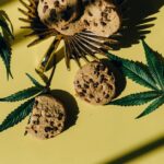 Delectable Weed Cookies: A Step-by-Step Guide to Baking Delicious and Potent Treats