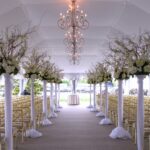 Elevate Your Celebration: The Ultimate Guide to Wedding Decor Stands